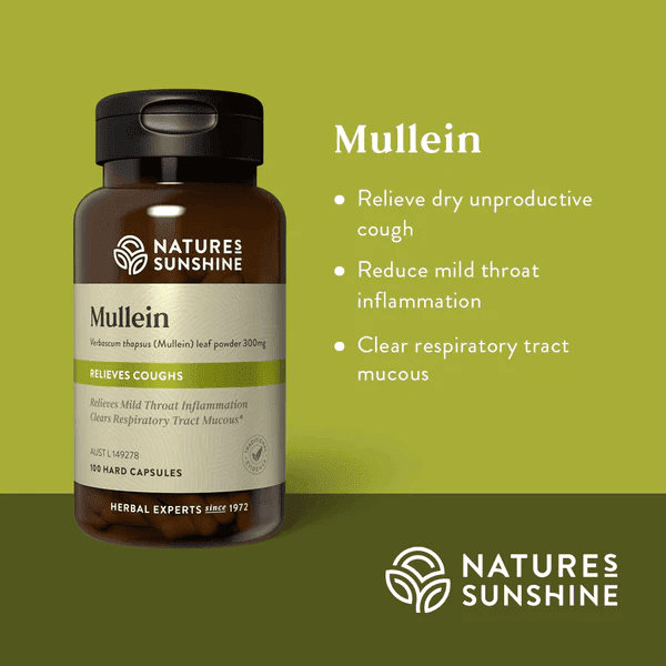 Mullein 100 capsules by natures sunshine